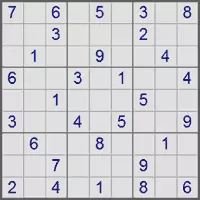 Sudoku puzzle grid