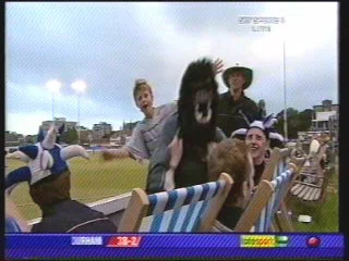 Peter Chapman and gorilla live on sky sports